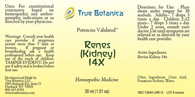 Renes (kidney) 14x_30ml_v1 (Renes (kidney) 14x 30ml V1 Jpg)
